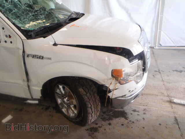 2013 FORD F150 - VIN: 1FTFX1CF4DFD53663 - Фото 10