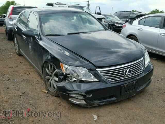 Фотография JTHBL46F785082700 - LEXUS LS460 2008