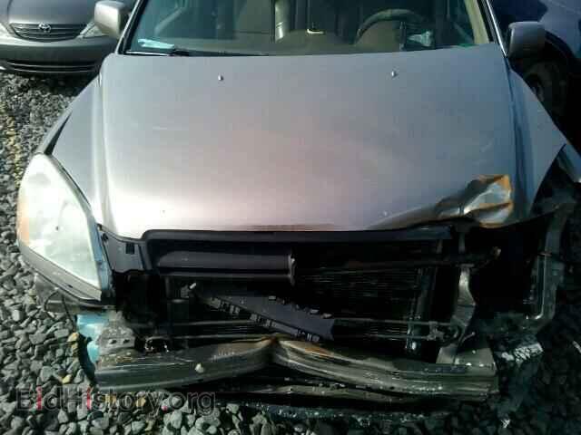 2005 HONDA PILOT - VIN: 2HKYF18675H563024 - Фото 7