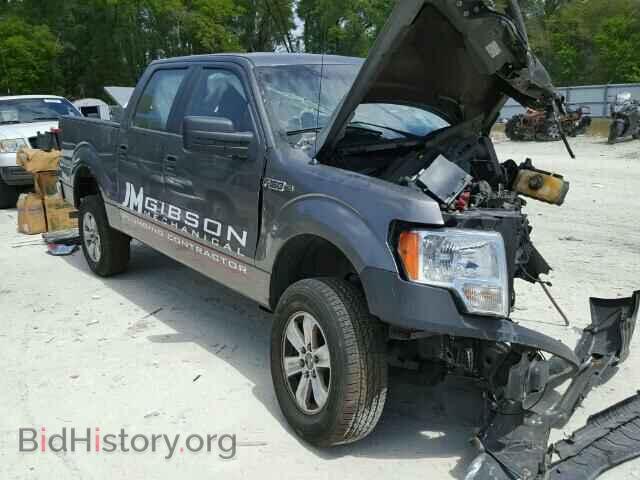 Фотография 1FTEW1CMXDFC62300 - FORD F150 2013