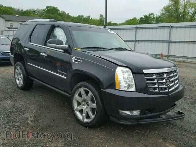 Фотография 1GYS4CEF2BR131306 - CADILLAC ESCALADE 2011