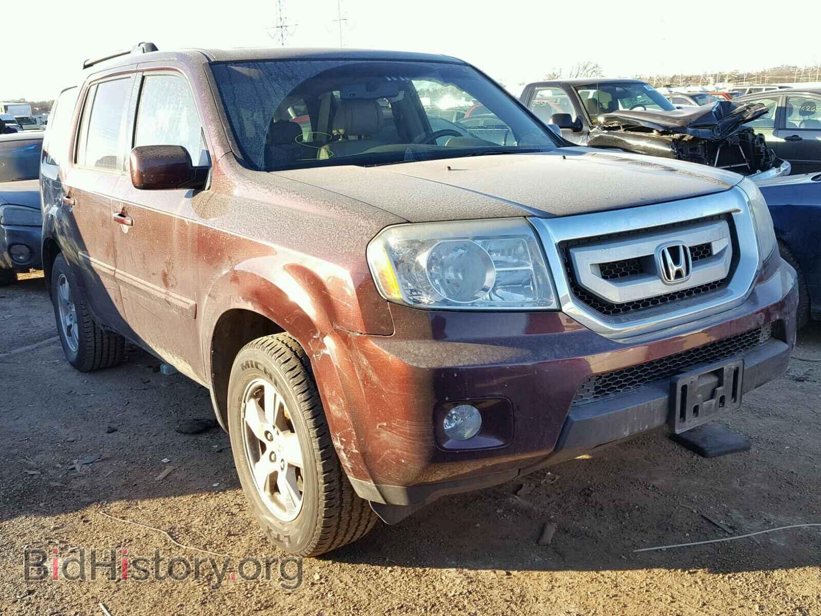 Фотография 5FNYF38699B004431 - HONDA PILOT 2009