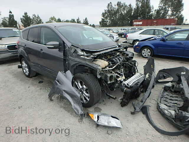 Фотография 1FMCU0H96DUA09929 - FORD ESCAPE 2013