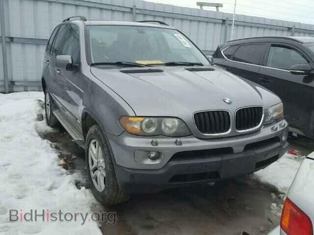 Photo 5UXFA13515LU49051 - BMW X5 2005