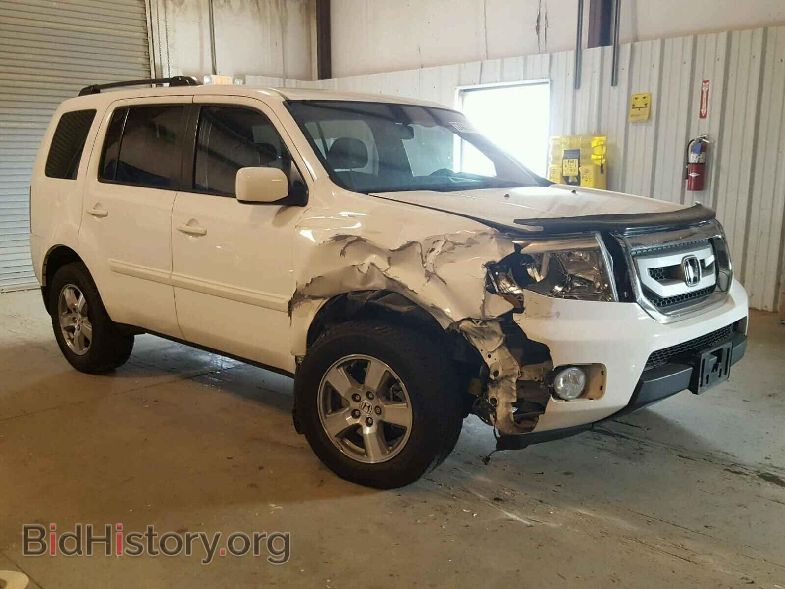 Фотография 5FNYF3H54BB046437 - HONDA PILOT 2011