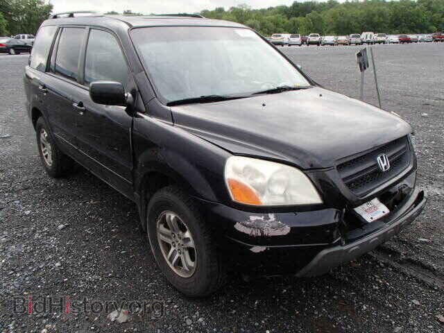 Фотография 5FNYF18545B031445 - HONDA PILOT 2005