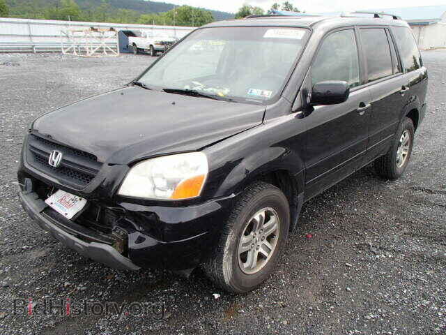 2005 HONDA PILOT - VIN: 5FNYF18545B031445 - Фото 2
