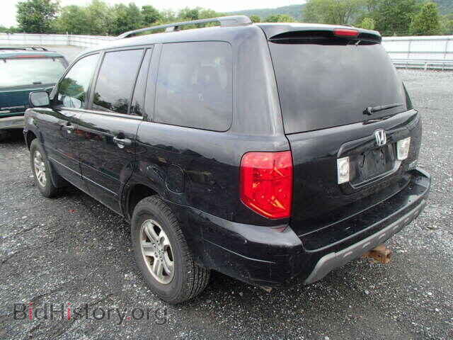 2005 HONDA PILOT - VIN: 5FNYF18545B031445 - Фото 3