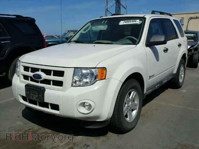 2009 FORD ESCAPE - VIN: 1FMCU59329KB18950 - Фото 2