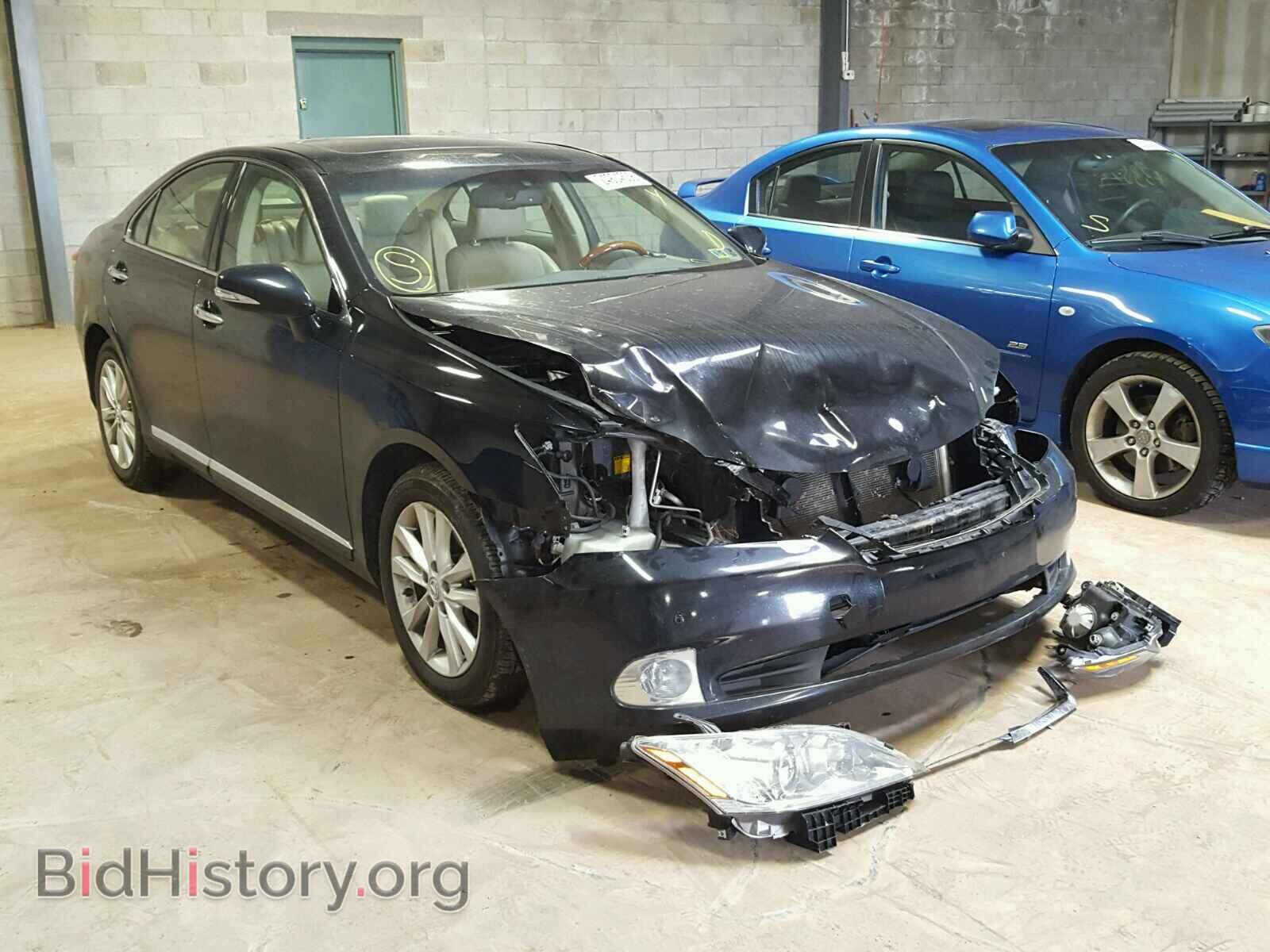 Фотография JTHBK1EG8A2365254 - LEXUS ES350 2010
