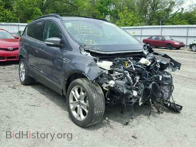Фотография 1FMCU0HX8DUD83263 - FORD ESCAPE 2013