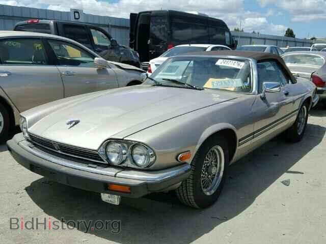 1990 JAGUAR XJS - VIN: SAJTW4843LC176135 - Фото 2