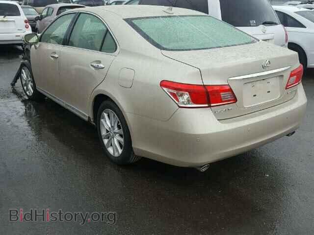 2010 LEXUS ES350 - VIN: JTHBK1EG0A2360940 - Фото 3