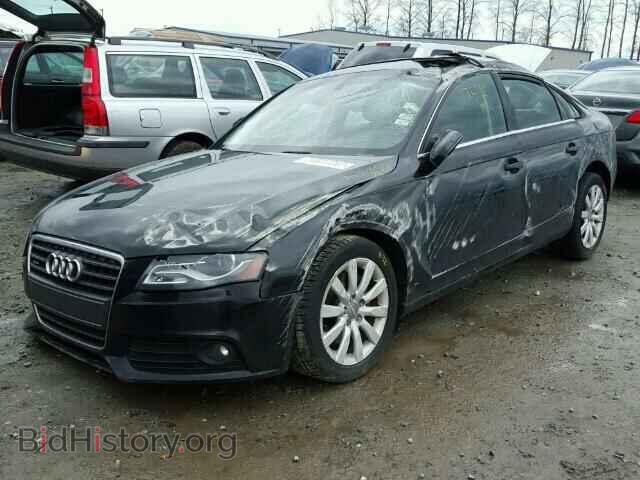 2011 AUDI A4 - VIN: WAUFFAFL8BN005014 - Фото 2