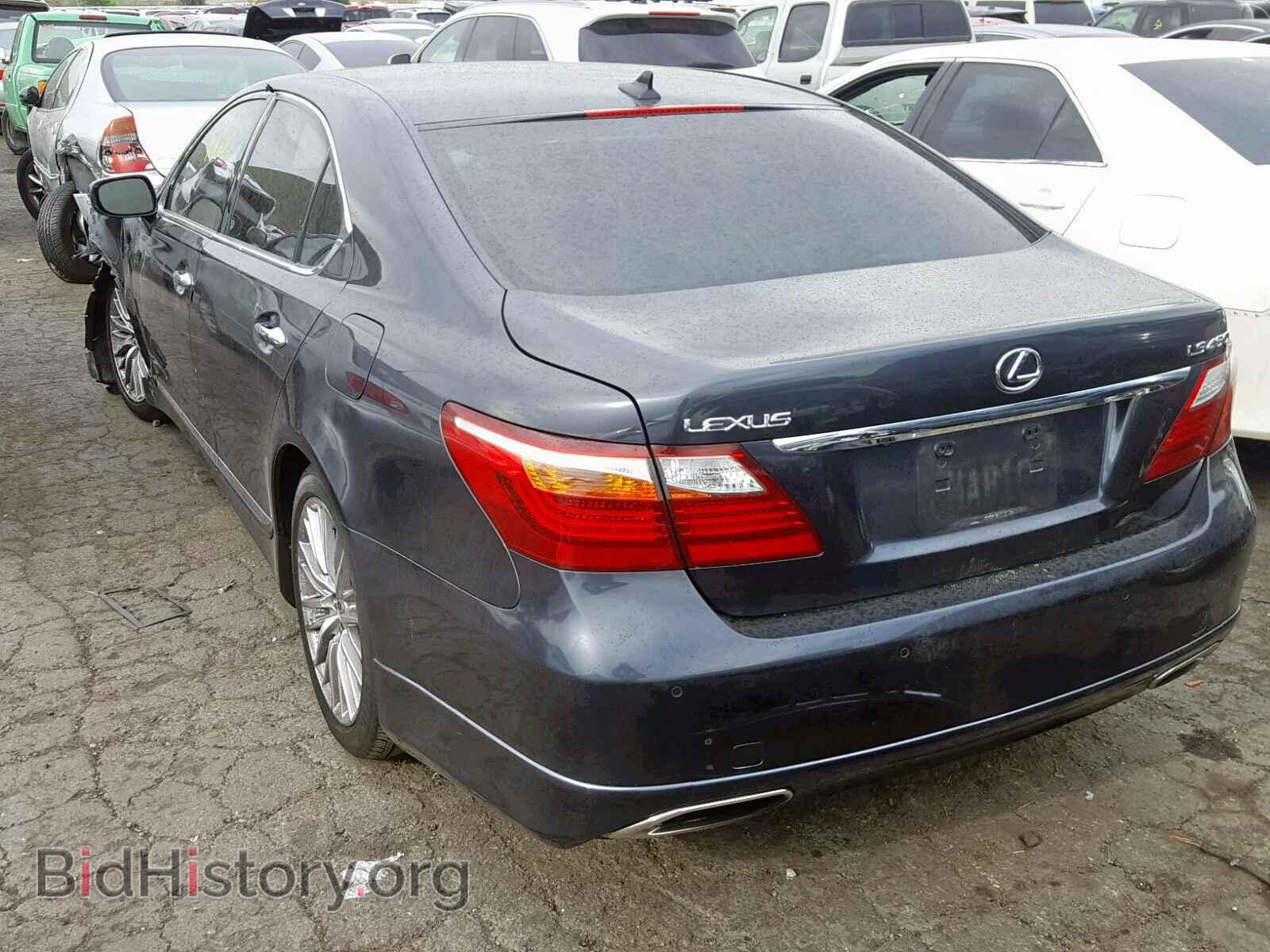 2010 LEXUS LS460 - VIN: JTHBL5EF8A5097686 - Фото 3