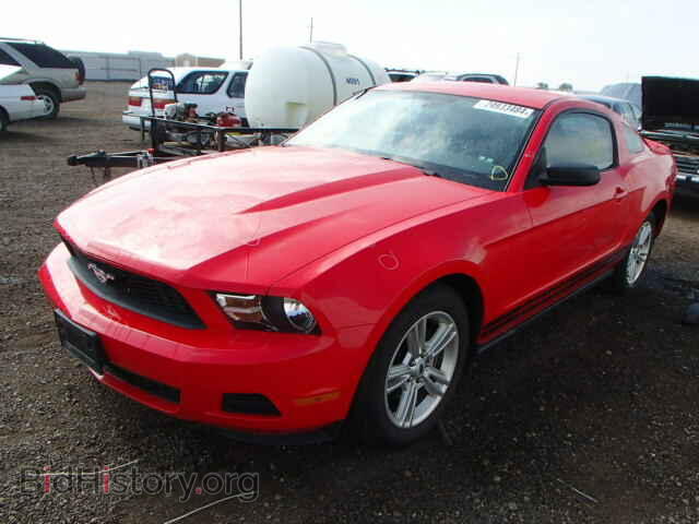 2010 FORD MUSTANG - VIN: 1ZVBP8ANXA5129586 - Фото 2