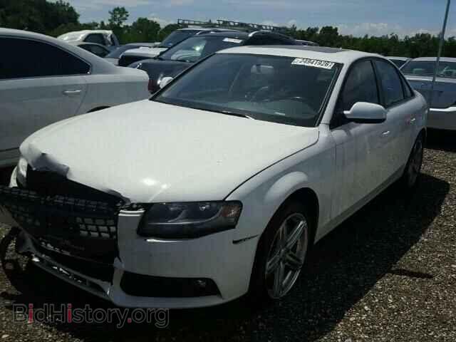2010 AUDI A4 - VIN: WAUAFAFL8AN055470 - Фото 2