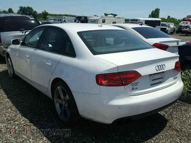 2010 AUDI A4 - VIN: WAUAFAFL8AN055470 - Фото 3