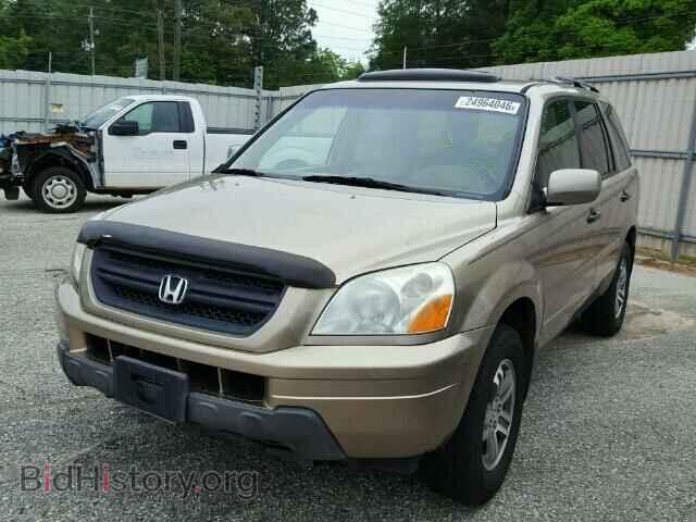 2005 HONDA PILOT - VIN: 5FNYF18685B043865 - Фото 2