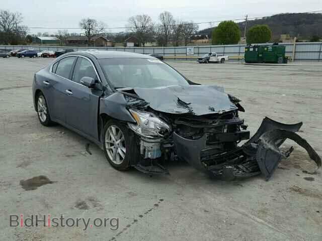 Фотография 1N4AA5AP3AC836675 - NISSAN MAXIMA 2010