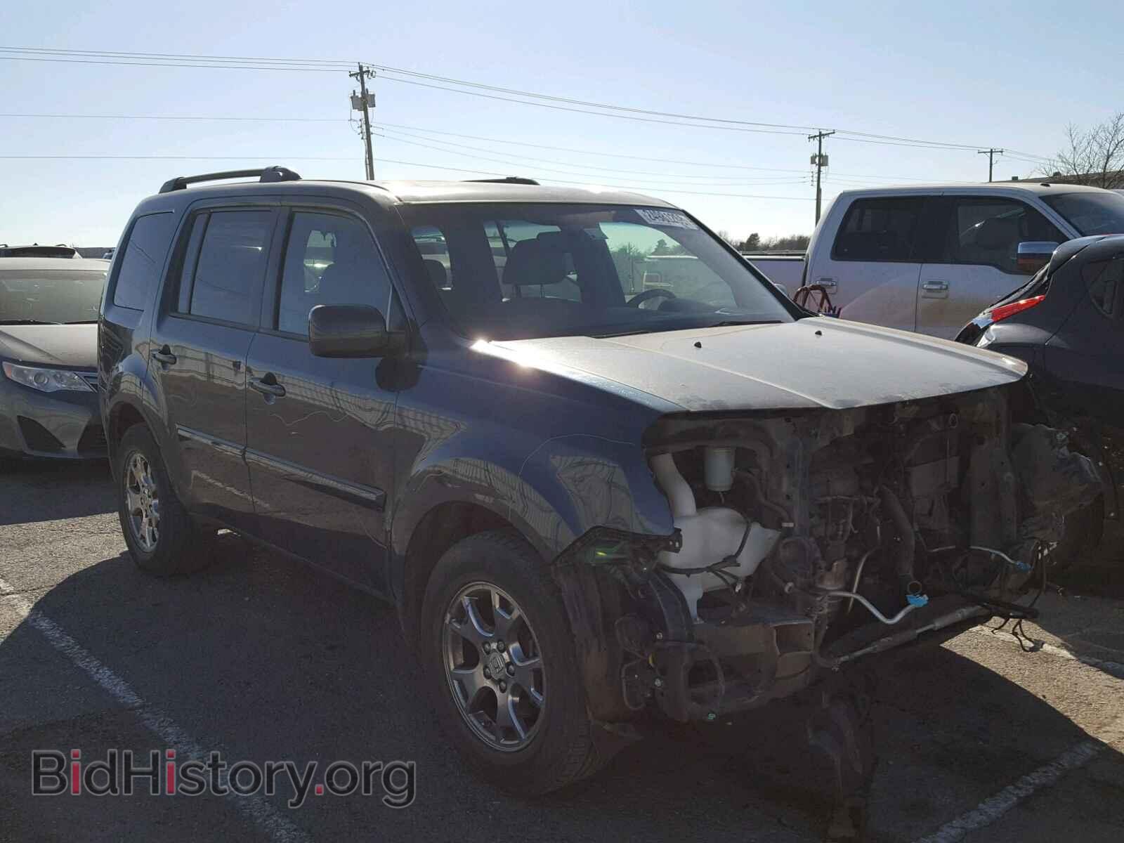 Фотография 5FNYF38569B026779 - HONDA PILOT 2009