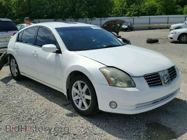 Photo 1N4BA41E76C843276 - NISSAN MAXIMA 2006