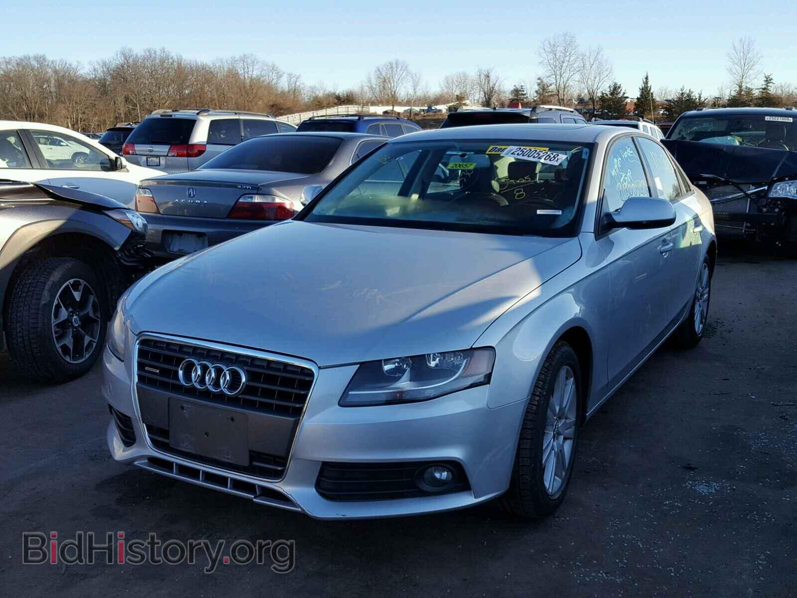 2010 AUDI A4 - VIN: WAUBFAFL8AN047230 - Фото 2