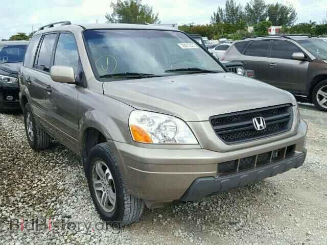 Фотография 2HKYF18475H532645 - HONDA PILOT 2005