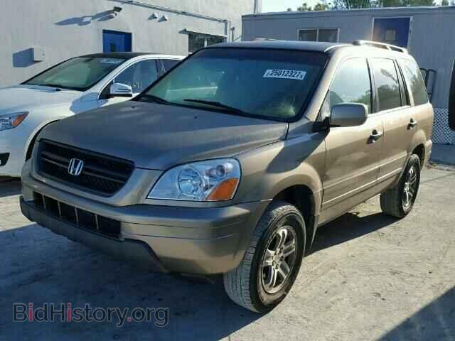 2005 HONDA PILOT - VIN: 2HKYF18475H532645 - Фото 2