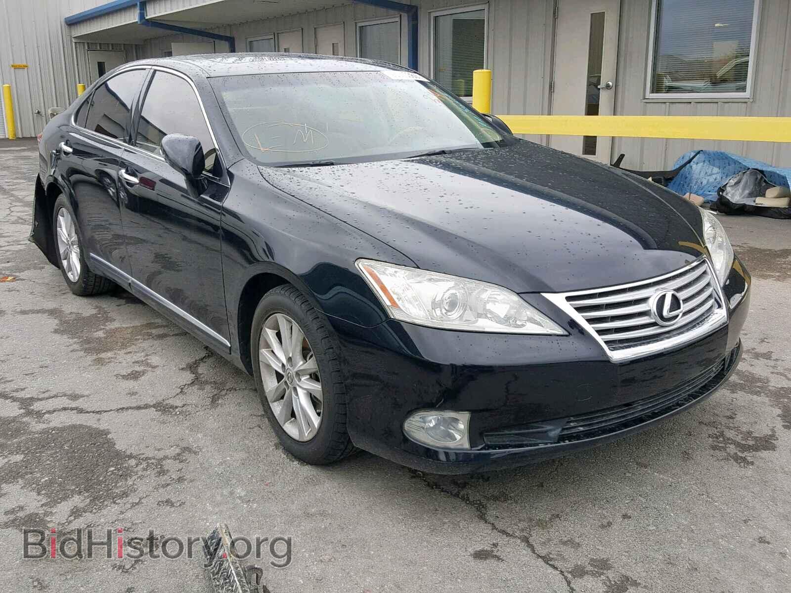Photo  - LEXUS ES350 2010