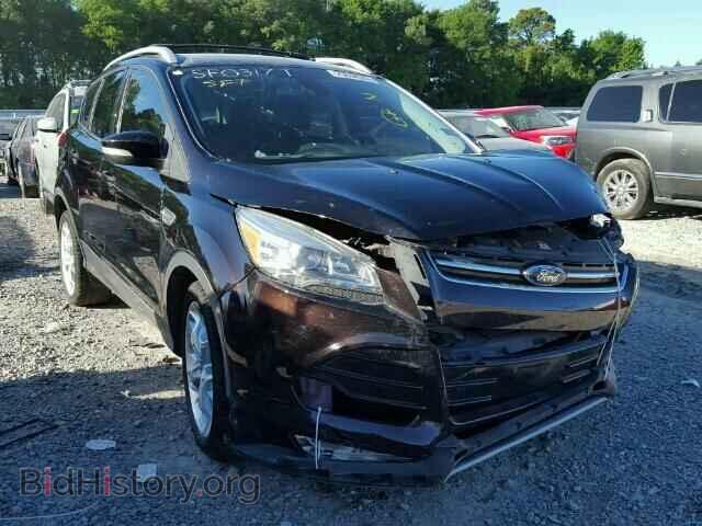 Фотография 1FMCU0J98DUC23217 - FORD ESCAPE 2013