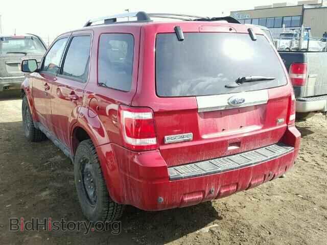 2011 FORD ESCAPE - VIN: 1FMCU9EG7BKB16682 - Фото 3
