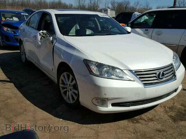 Фотография JTHBK1EG1A2387760 - LEXUS ES350 2010