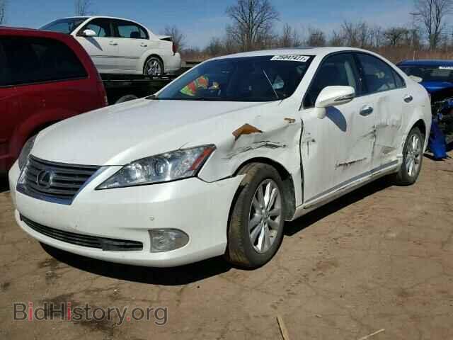 2010 LEXUS ES350 - VIN: JTHBK1EG1A2387760 - Фото 2