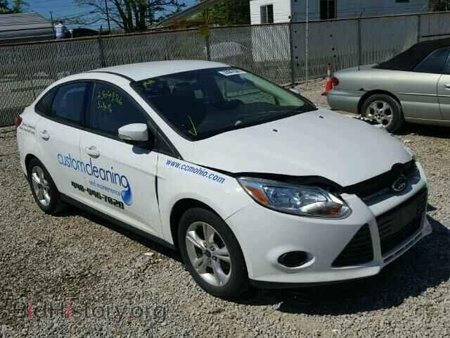 Photo 1FADP3F24DL332590 - FORD FOCUS 2013