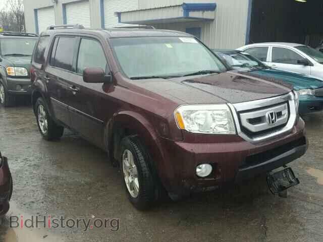 Фотография 5FNYF48669B030491 - HONDA PILOT 2009