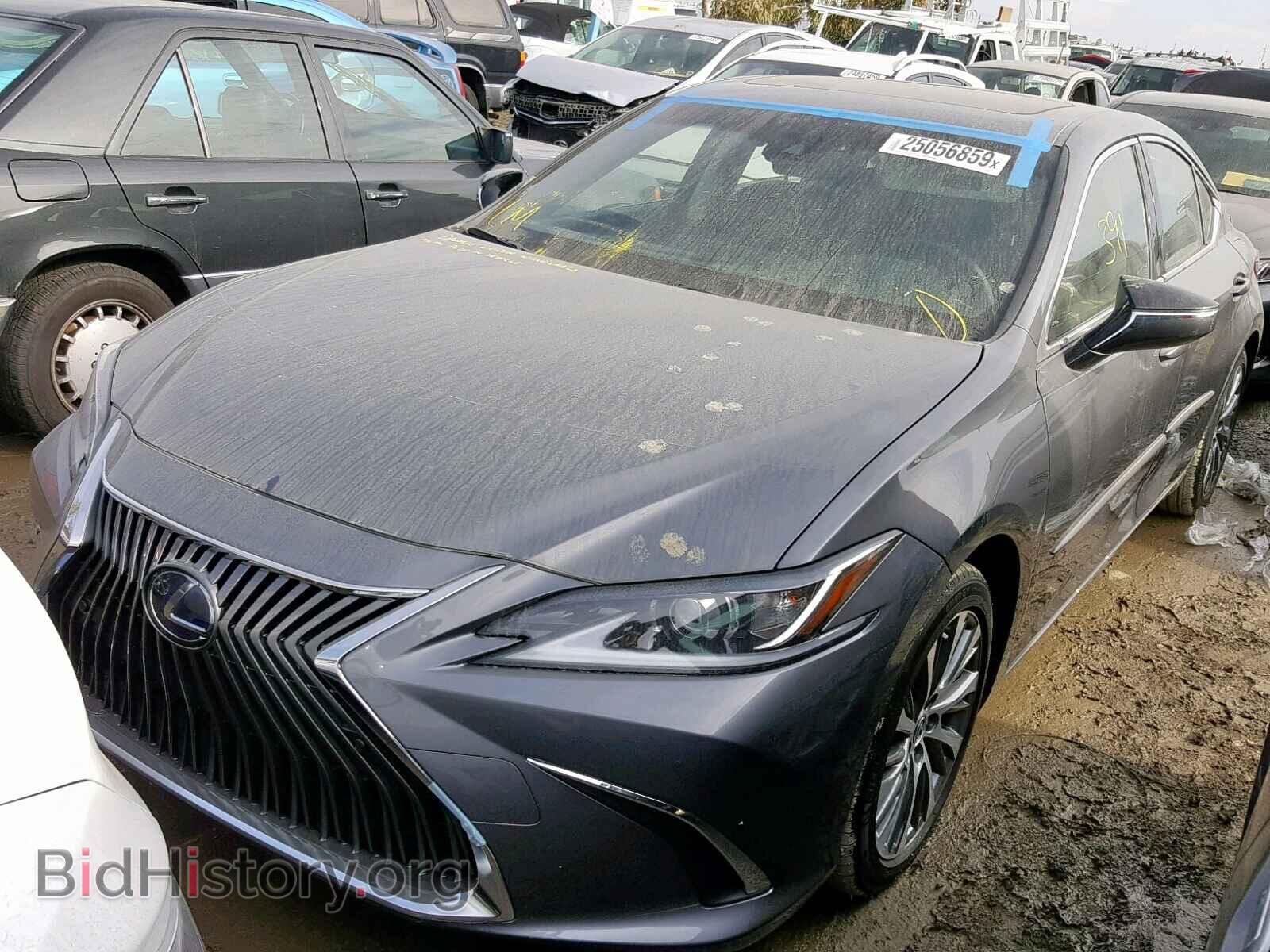2019 LEXUS ES300 - VIN: JTHB21B11K2002635 - Фото 2