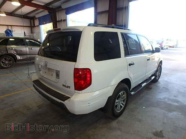 2005 HONDA PILOT - VIN: 5FNYF18655B041314 - Фото 4