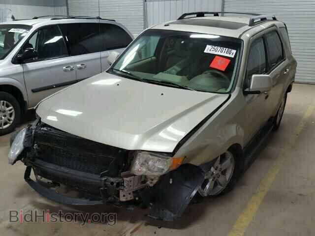 2011 FORD ESCAPE - VIN: 1FMCU9EG4BKA90509 - Фото 2