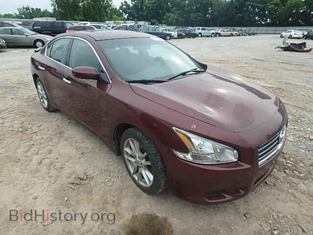 Фотография 1N4AA5AP5BC840048 - NISSAN MAXIMA 2011