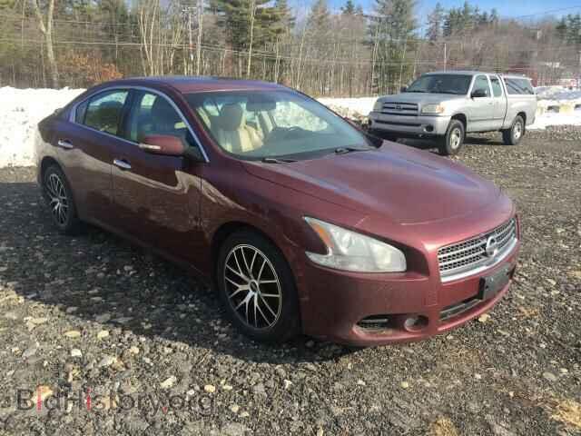 2010 NISSAN MAXIMA - VIN: 1N4AA5AP2A821780 - Фото 3
