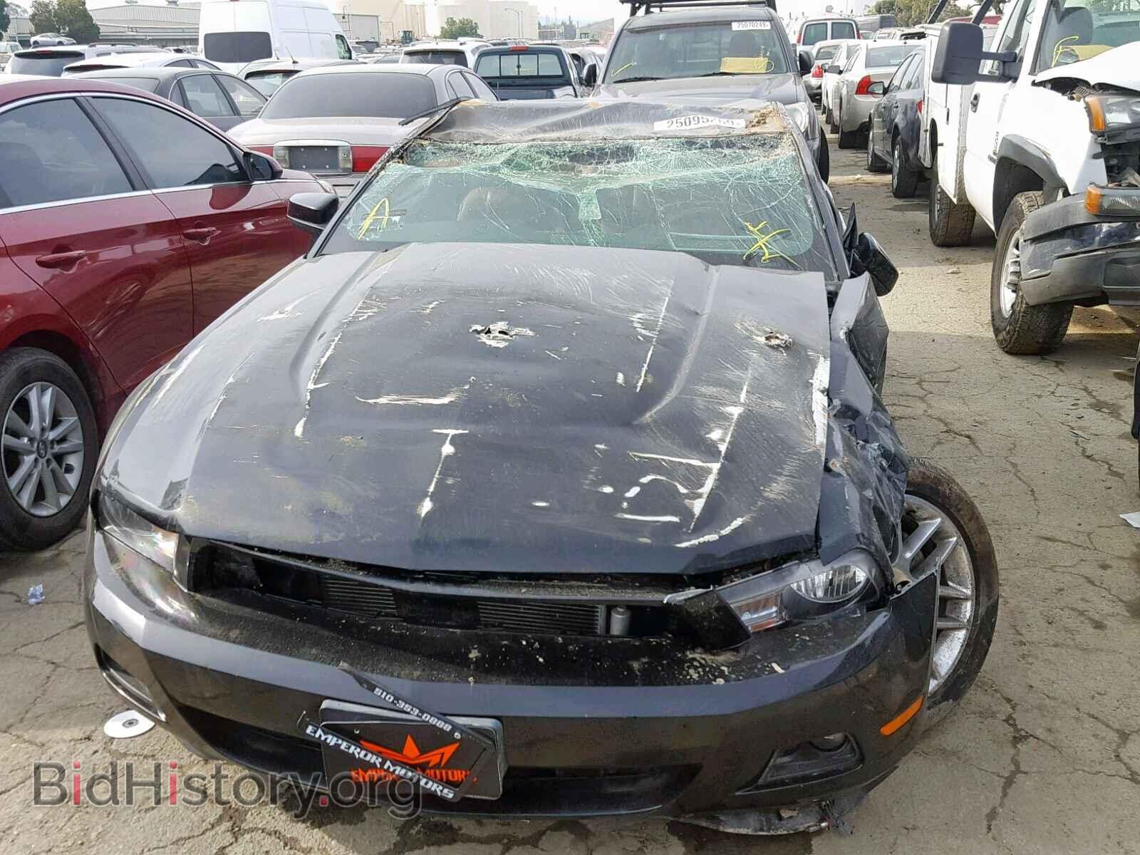 2012 FORD MUSTANG - VIN: 1ZVBP8AM5C5266509 - Фото 9
