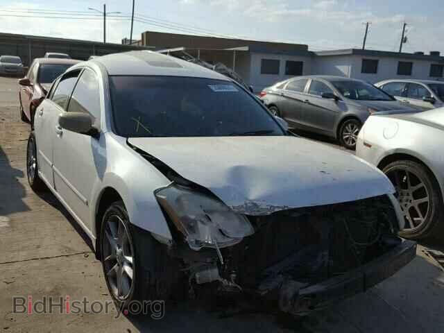 Photo 1N4BA41E88C820043 - NISSAN MAXIMA 2008