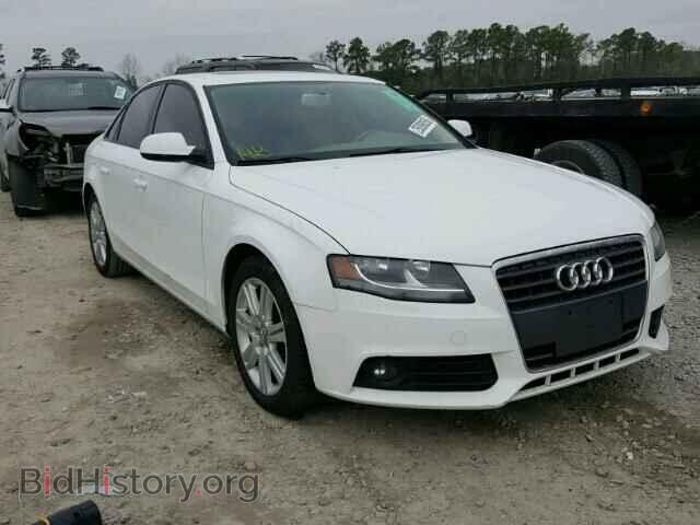 Фотография WAUAFAFL7AN034478 - AUDI A4 2010