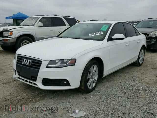 2010 AUDI A4 - VIN: WAUAFAFL7AN034478 - Фото 2