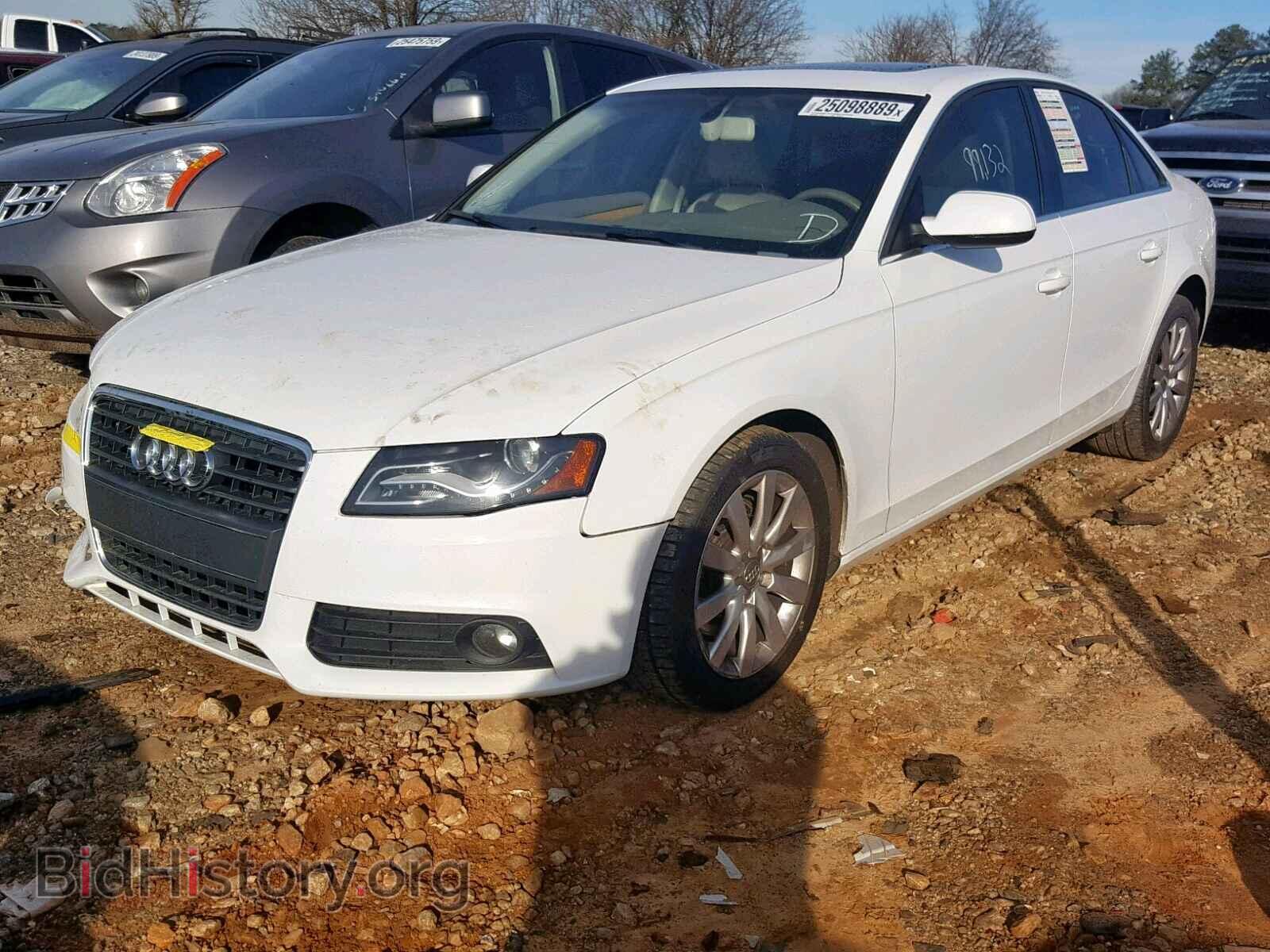 2010 AUDI A4 - VIN: WAUEFAFL8AN019456 - Фото 2