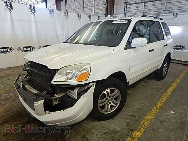 2005 HONDA PILOT - VIN: 5FNYF18505B039431 - Фото 2
