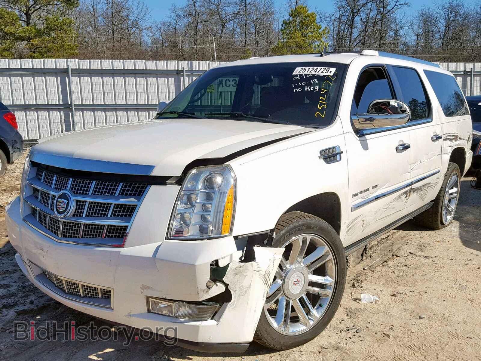 2010 CADILLAC ESCALADE E - VIN: 1GYUKKEF8AR238724 - Фото 2