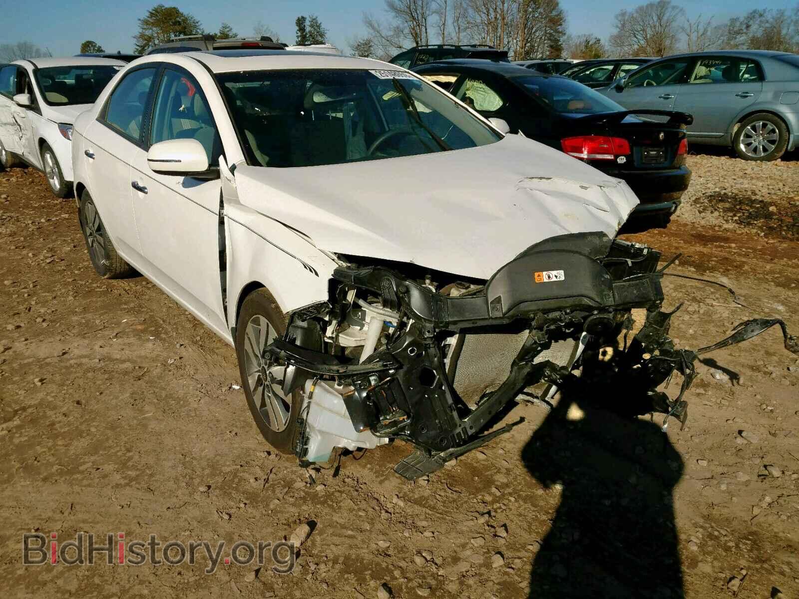 Фотография KNAFU4A21D5695701 - KIA FORTE EX 2013