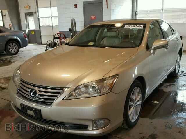 2010 LEXUS ES350 - VIN: JTHBK1EG8A2413559 - Фото 2